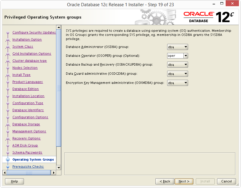 Install Oracle 12c RAC DB 19