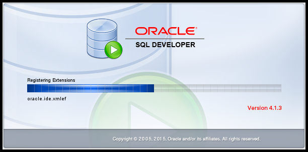 SQL Developer Startup