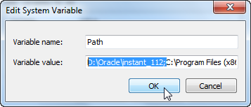 Set Environment Variable - Input Value for PATH