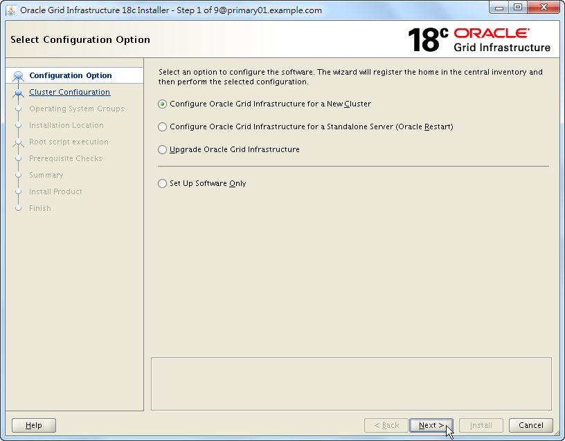 Oracle 18c Grid Infrastructure Installation - Select Configuration Option