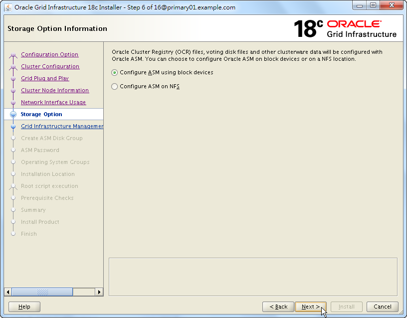 Oracle 18c Grid Infrastructure Installation - Storage Option Information