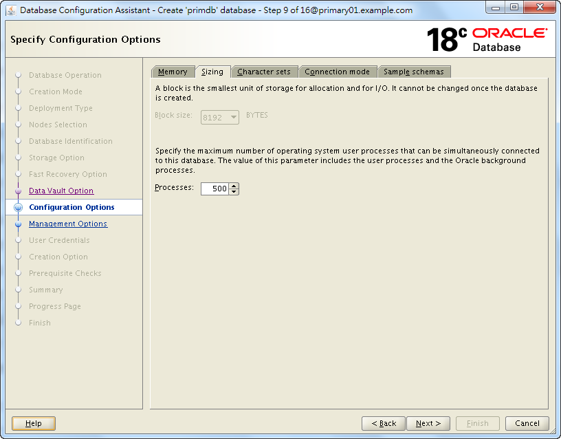 Oracle 18c DBCA - Create a RAC Database - Specify Configuration Options - Sizing