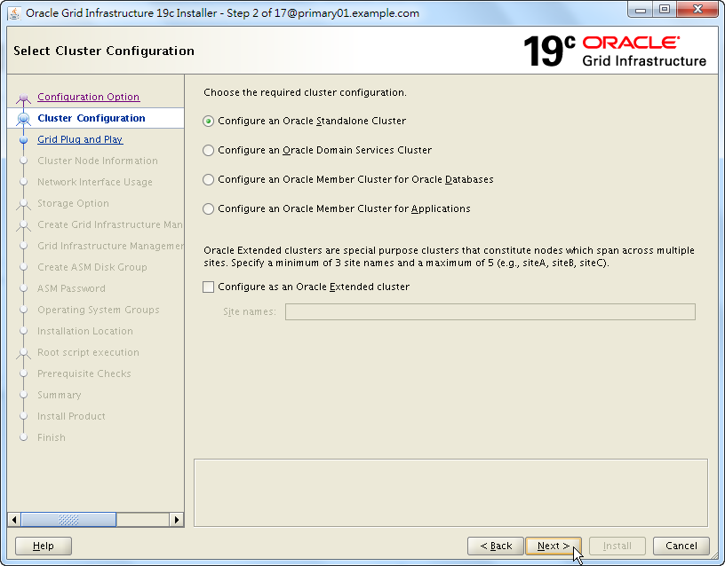 Oracle 19c Grid Infrastructure Installation - 02