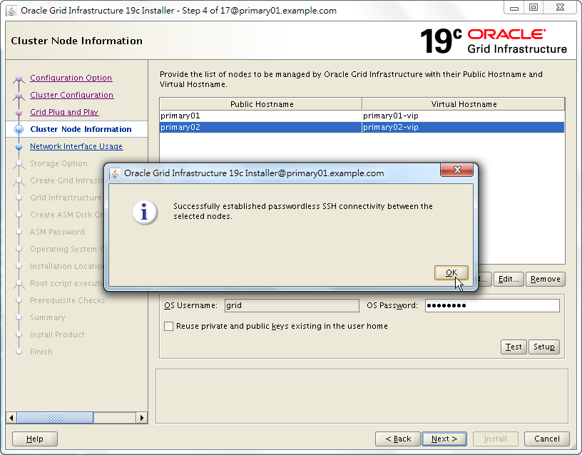 Oracle 19c Grid Infrastructure Installation - 04 - 04