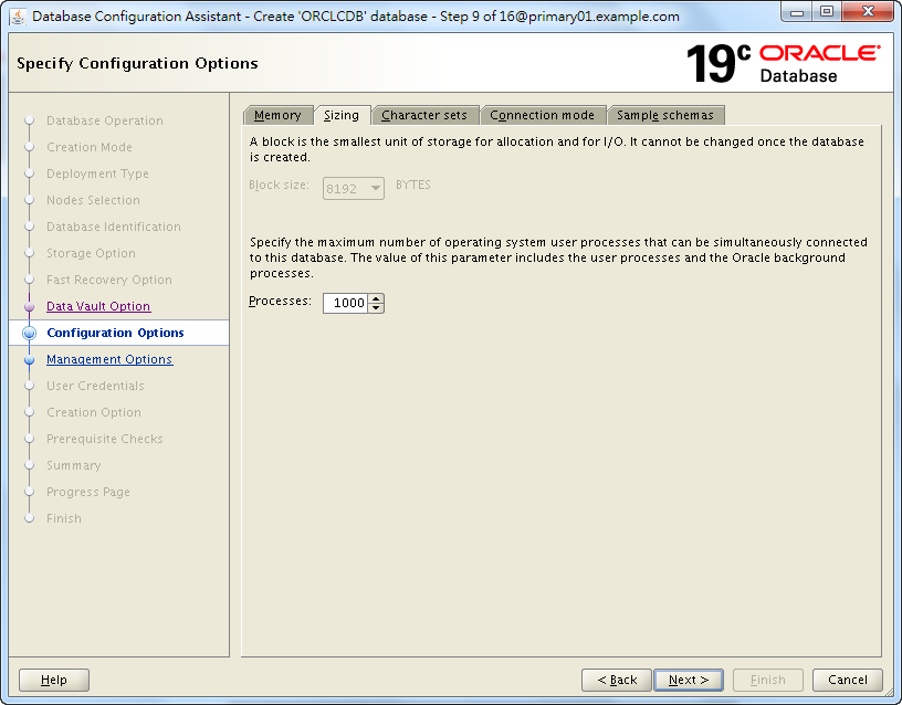 Oracle 19c Database Creation by DBCA - 09 - 02
