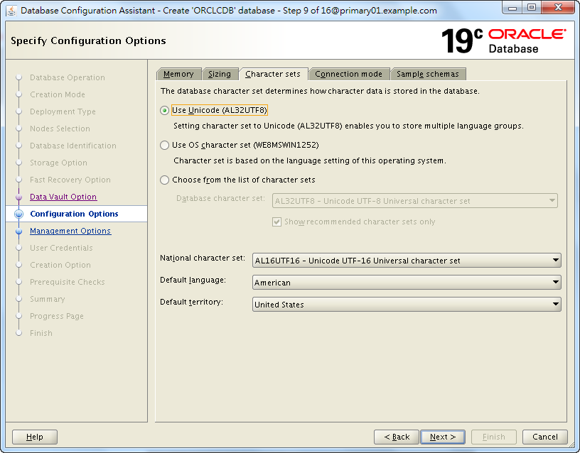 Oracle 19c Database Creation by DBCA - 09 - 03