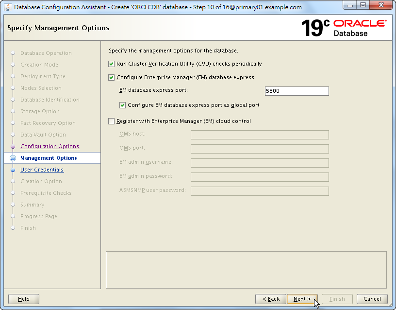 Oracle 19c Database Creation by DBCA - 10